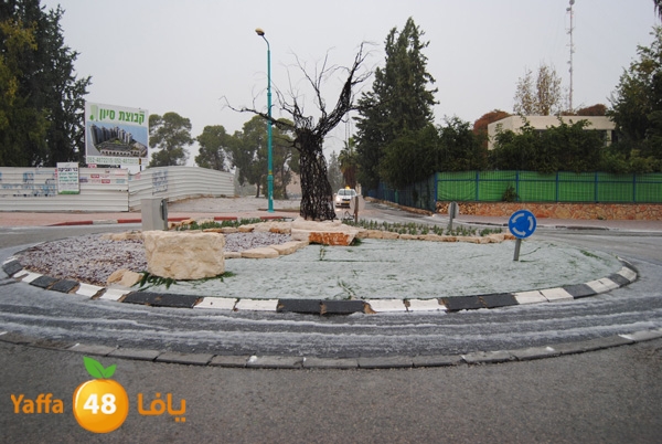 ice ramla 1213 (1).JPG